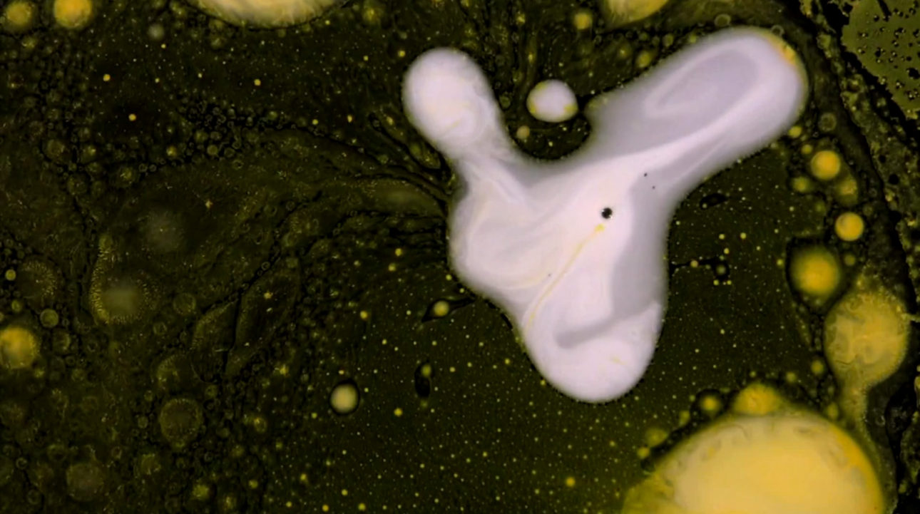 marina_roy_min_intel_00007