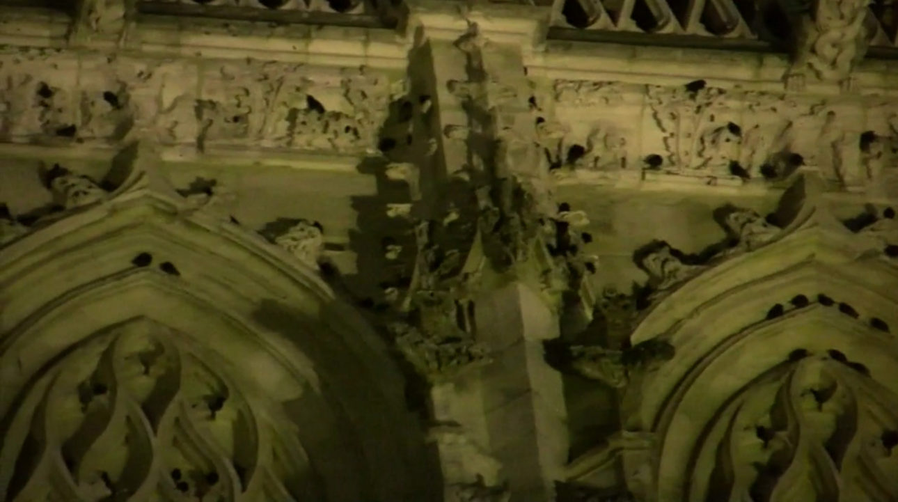 marina_roy_min_intel_00011