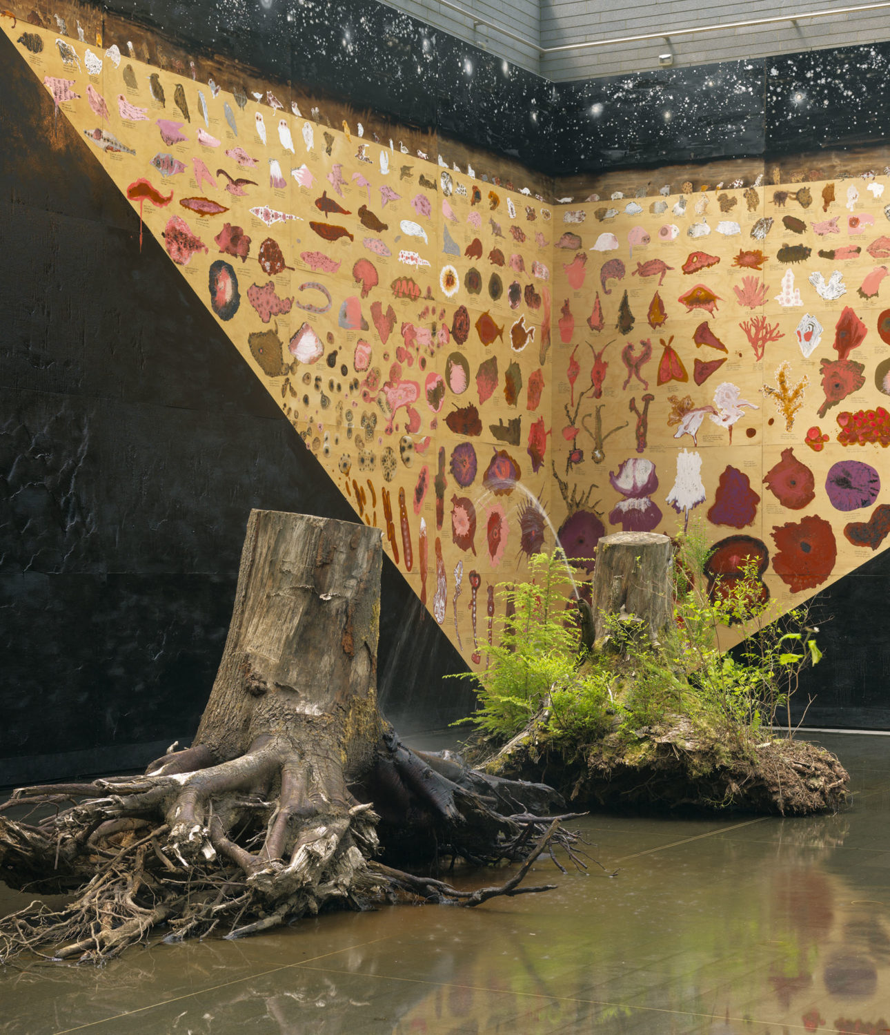 offsite-detail-stumps_75%