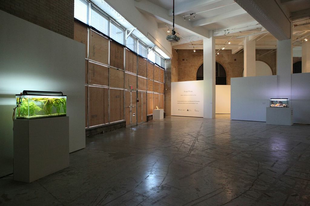 fire-fire-installation1Fire/Fire installation image